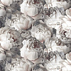 Обои виниловые на флизелиновой основе 585339 Victoria Stenova Peony, 1.06 х 10 м . купить в СОМ