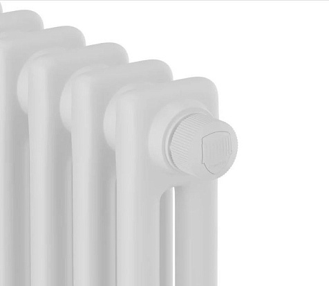 Дизайн-радиатор Royal Thermo Insignia VC2180, 6 секций, RAL9016 купить в СОМ