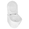 Инсталляция Loranto Prestige 4551, унитаз Azario Teramo AZ-0053 SP, сиденье микролифт, без кнопки купить в СОМ