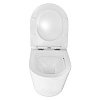 Инсталляция Loranto Prestige 4551, унитаз Azario Teramo AZ-0053 SP, сиденье микролифт, без кнопки купить в СОМ