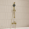 Лейка для душа Iddis Aiger AIG4FMGi18, золото матовое купить в СОМ